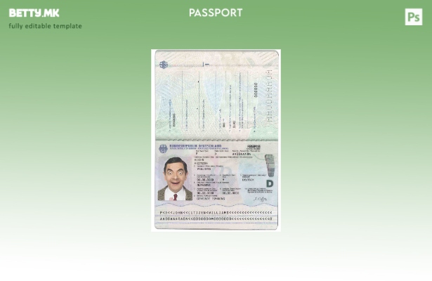 Модерен стил шаблон Германија pass( – present).